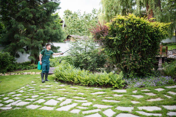 Best Pest Control Treatment  in Abbotsford, WI
