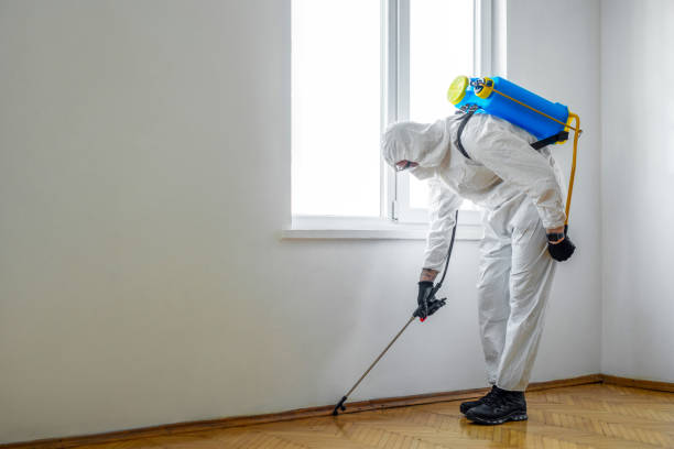 Best Pest Control Near Me in Abbotsford, WI