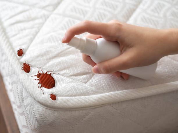 Best Insect Control  in Abbotsford, WI