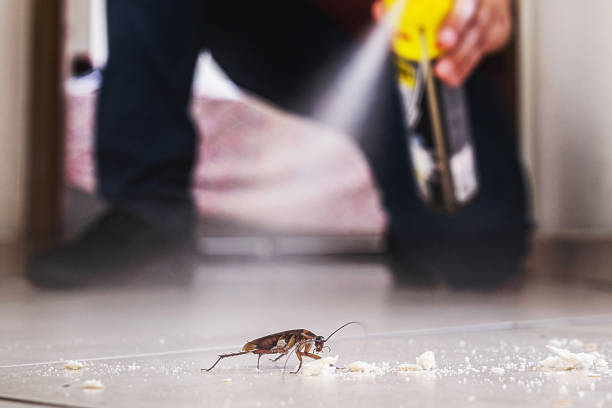 Best Best Pest Control Companies  in Abbotsford, WI