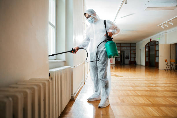 Best Flea Control Services  in Abbotsford, WI