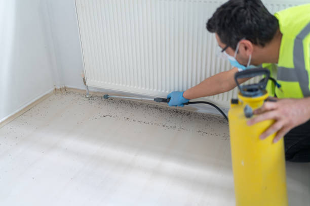 Best Bed Bug Extermination  in Abbotsford, WI